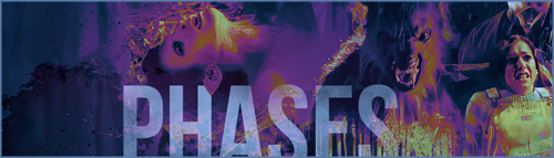 banner_phases.png